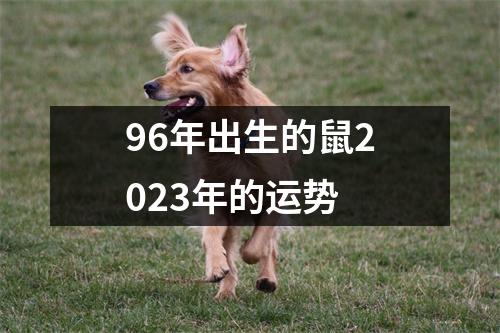 96年出生的鼠2023年的运势