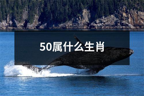 50属什么生肖