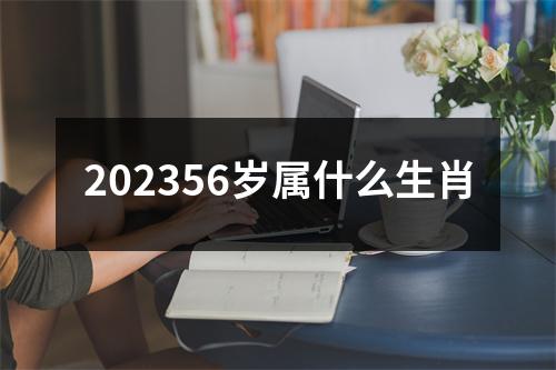 202356岁属什么生肖