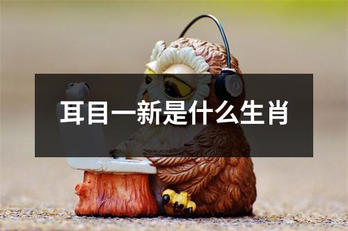 耳目一新是什么生肖