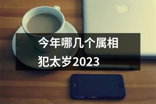 今年哪几个属相犯太岁2023