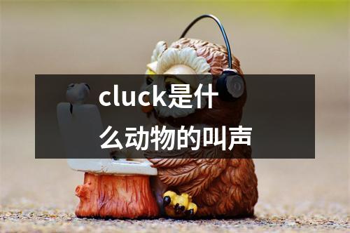 cluck是什么动物的叫声