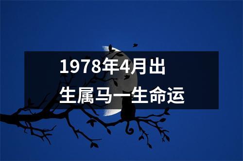 1978年4月出生属马一生命运