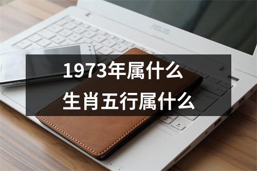 1973年属什么生肖五行属什么