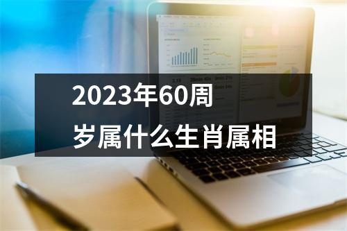 2023年60周岁属什么生肖属相