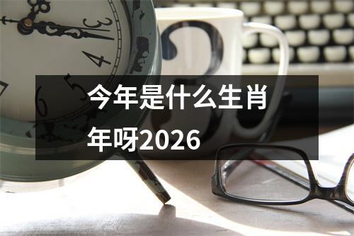 今年是什么生肖年呀2026