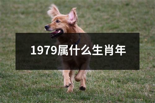 1979属什么生肖年