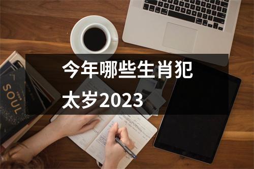 今年哪些生肖犯太岁2023