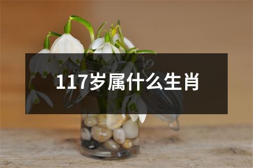 117岁属什么生肖