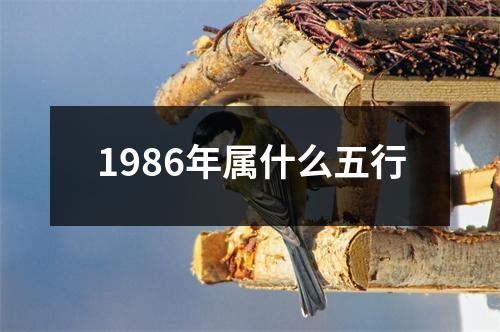 1986年属什么五行