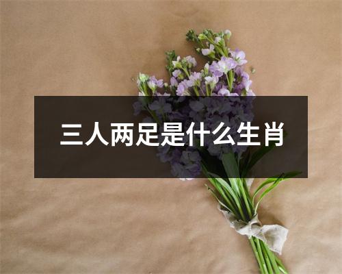 三人两足是什么生肖