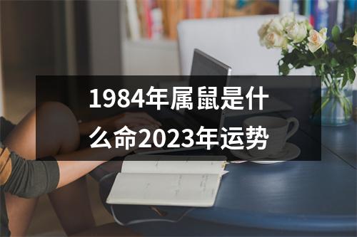 1984年属鼠是什么命2023年运势