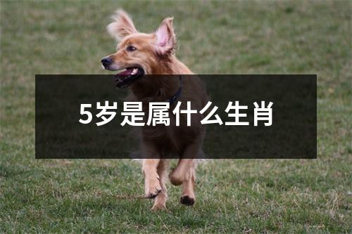 5岁是属什么生肖