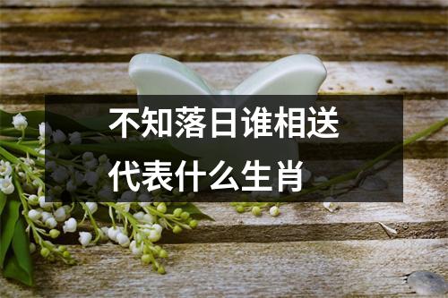 不知落日谁相送代表什么生肖