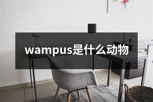 wampus是什么动物