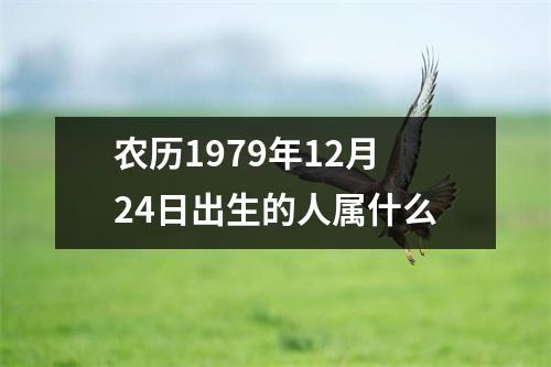 农历1979年12月24日出生的人属什么