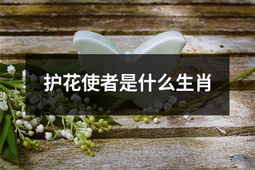 护花使者是什么生肖