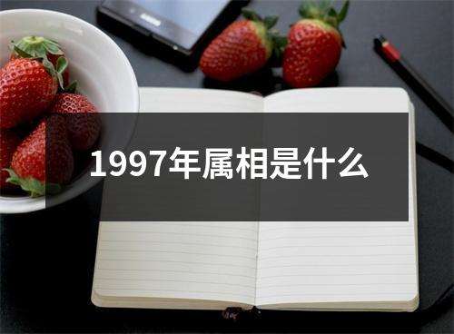 1997年属相是什么