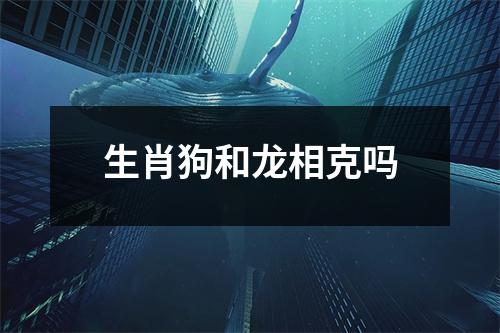 生肖狗和龙相克吗