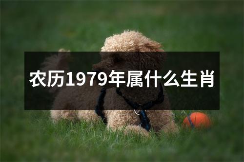 农历1979年属什么生肖