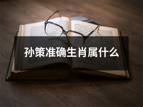 孙策准确生肖属什么