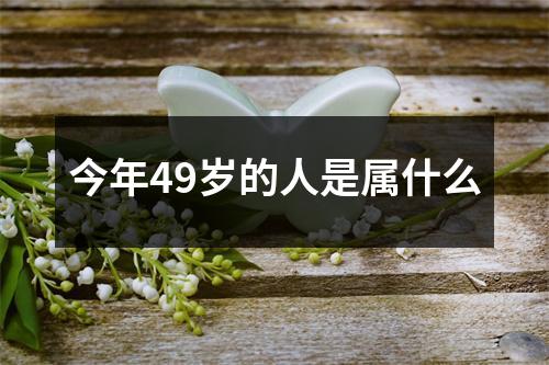 今年49岁的人是属什么