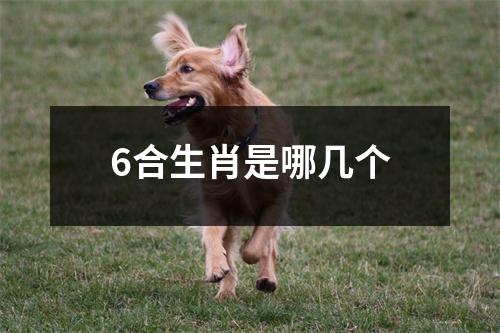 6合生肖是哪几个