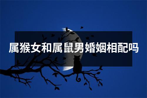 属猴女和属鼠男婚姻相配吗