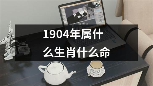 1904年属什么生肖什么命