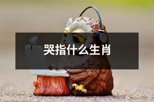 哭指什么生肖