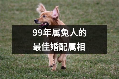 99年属兔人的最佳婚配属相