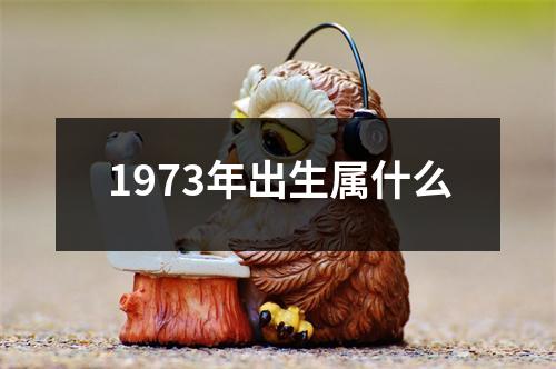 1973年出生属什么