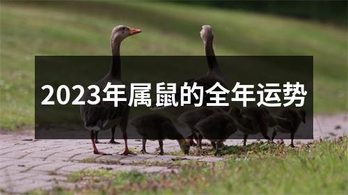 2023年属鼠的全年运势