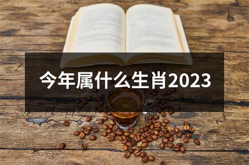 今年属什么生肖2023