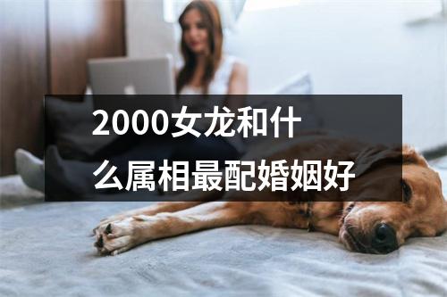 2000女龙和什么属相最配婚姻好