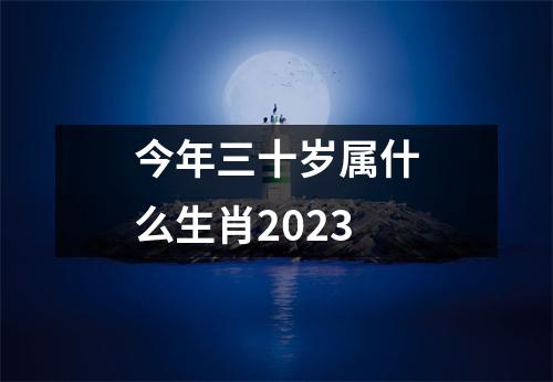 今年三十岁属什么生肖2023