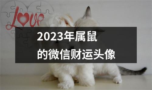 2023年属鼠的微信财运头像