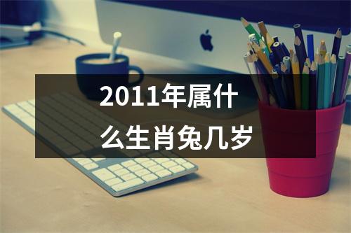 2011年属什么生肖兔几岁