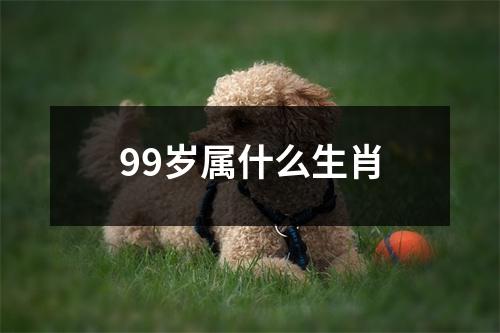 99岁属什么生肖