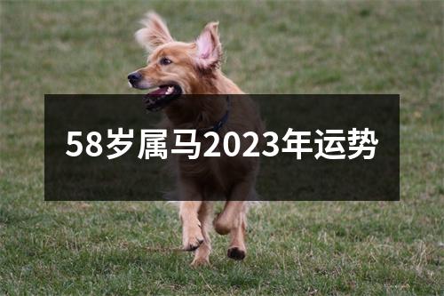 58岁属马2023年运势