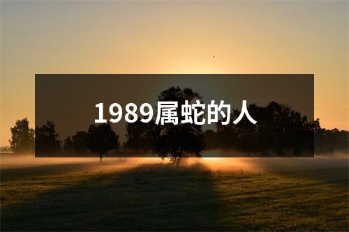 1989属蛇的人