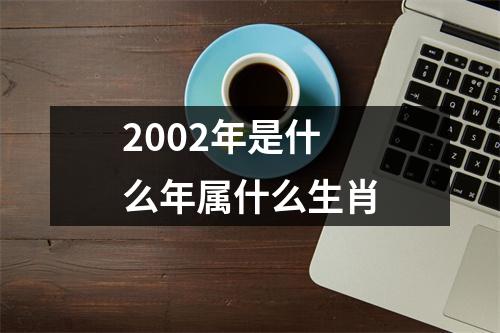 2002年是什么年属什么生肖