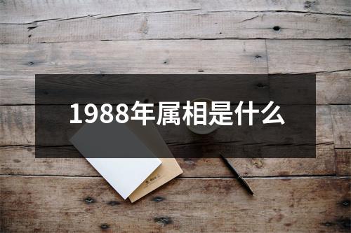 1988年属相是什么