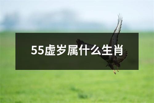 55虚岁属什么生肖