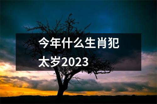 今年什么生肖犯太岁2023