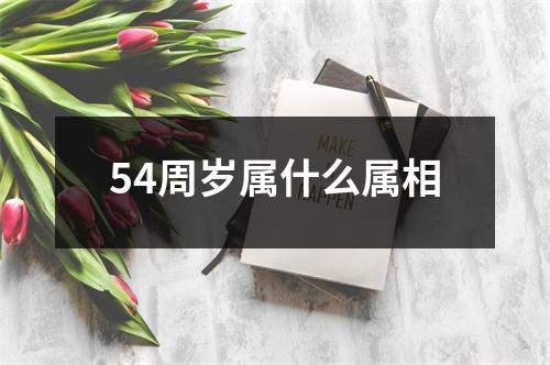 54周岁属什么属相