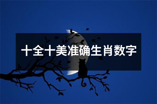 十全十美准确生肖数字