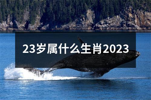 23岁属什么生肖2023