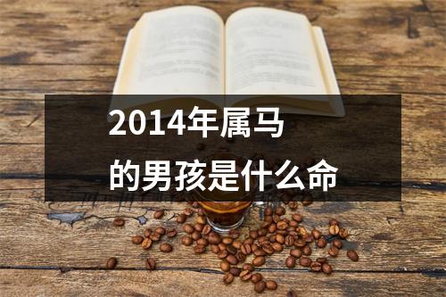 2014年属马的男孩是什么命