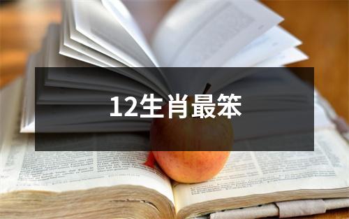 12生肖最笨